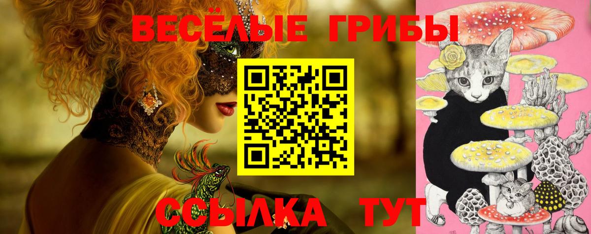 Великий Новгород  Галлюциногенные грибы Psilocybine cubensis  Вход с VPN 